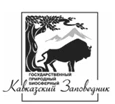 Партнер компании